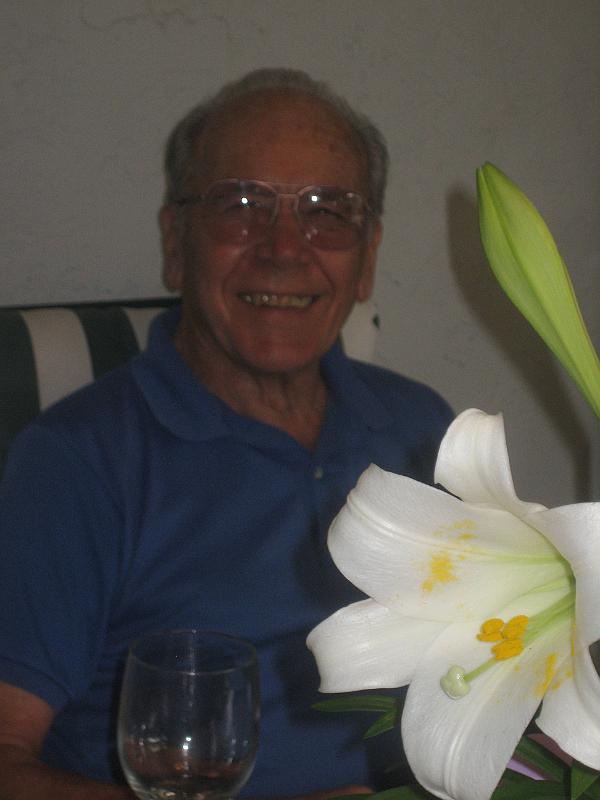 Picture 008